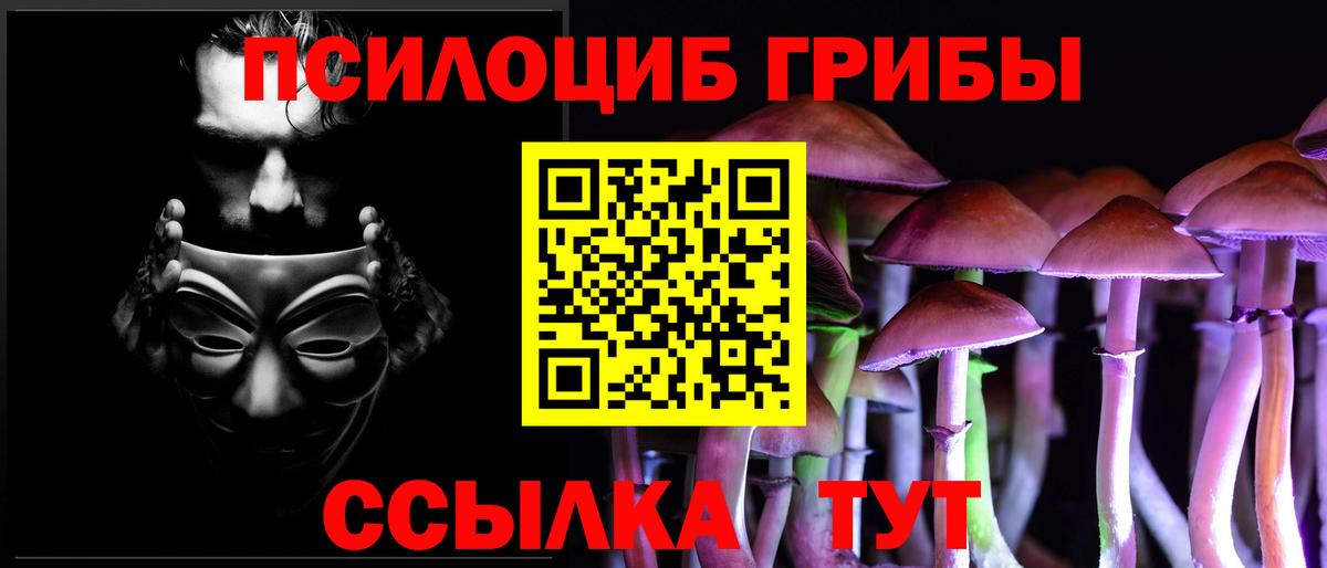Псилоцибиновые грибы Psilocybine cubensis Рузаевка